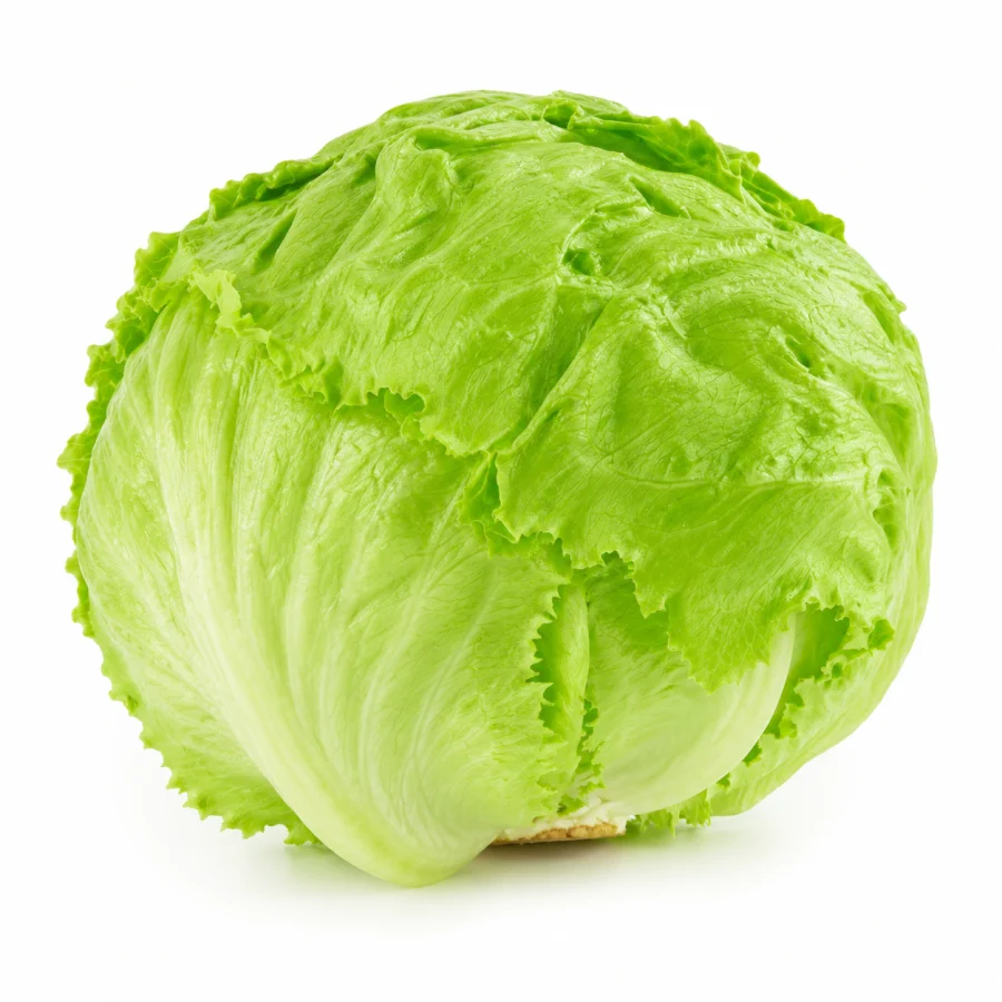 lechuga escarola 1kg
