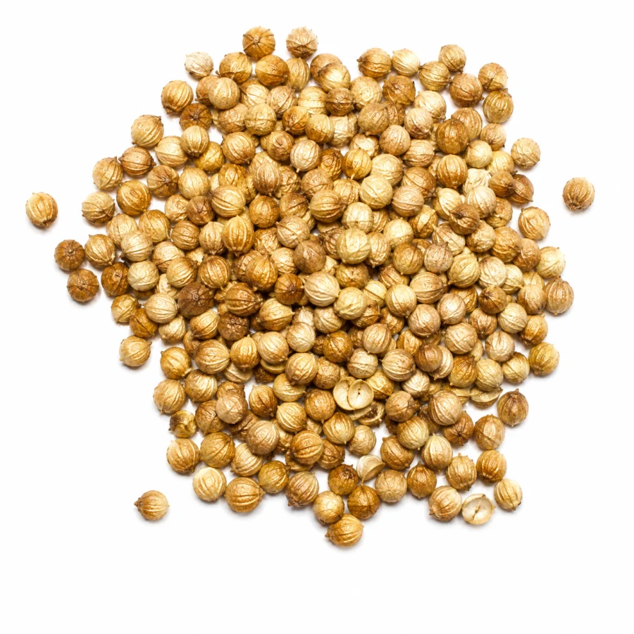 semillas de cilantro 1kg