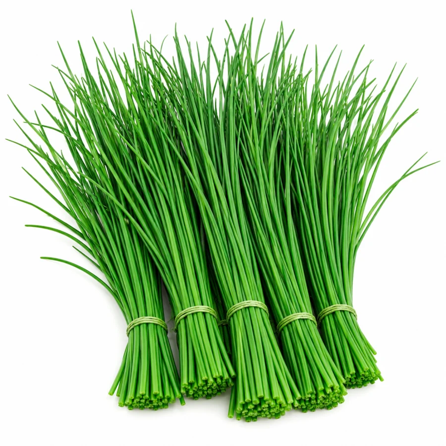 ciboulette 1kg