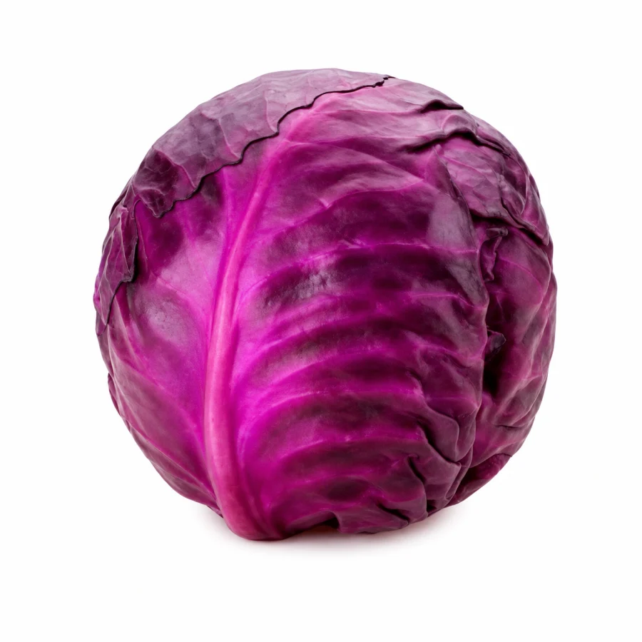 repollo morado 1u
