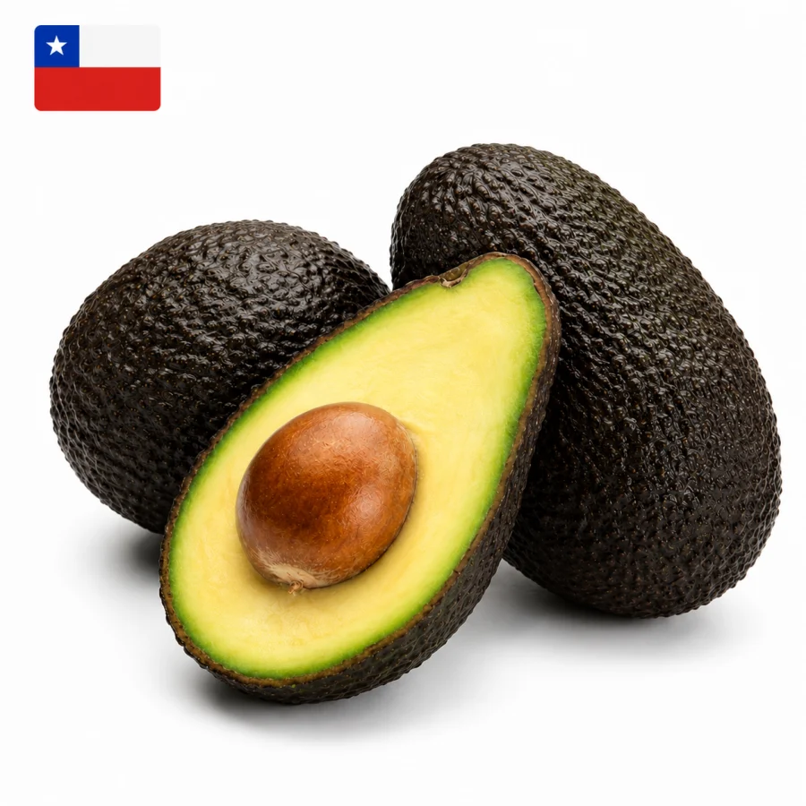 Palta Chilena 10kg